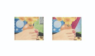 Tom Wesselmann - Double Drawing For Bedroom Painting #3