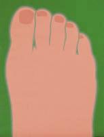 Tom Wesselmann - Foot