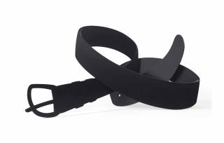 Tom Wesselmann - My Black Belt