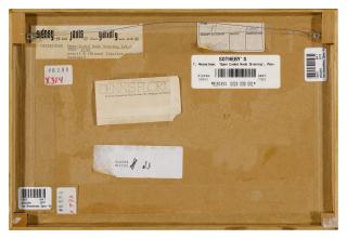 Tom  Wesselmann - Open Ended Edition #109