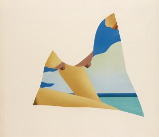 Tom Wesselmann - Seascape Dropout