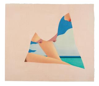 Tom Wesselmann - Seascape Dropout