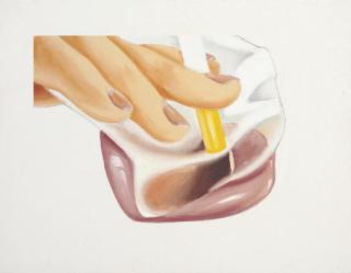 Tom Wesselmann - Smoker Study (For Smoker #19)