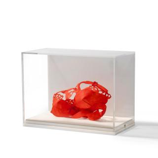 Tom Wesselmann - Tiny dropped bra