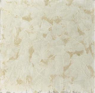 Tomas Rajlich - Untitled