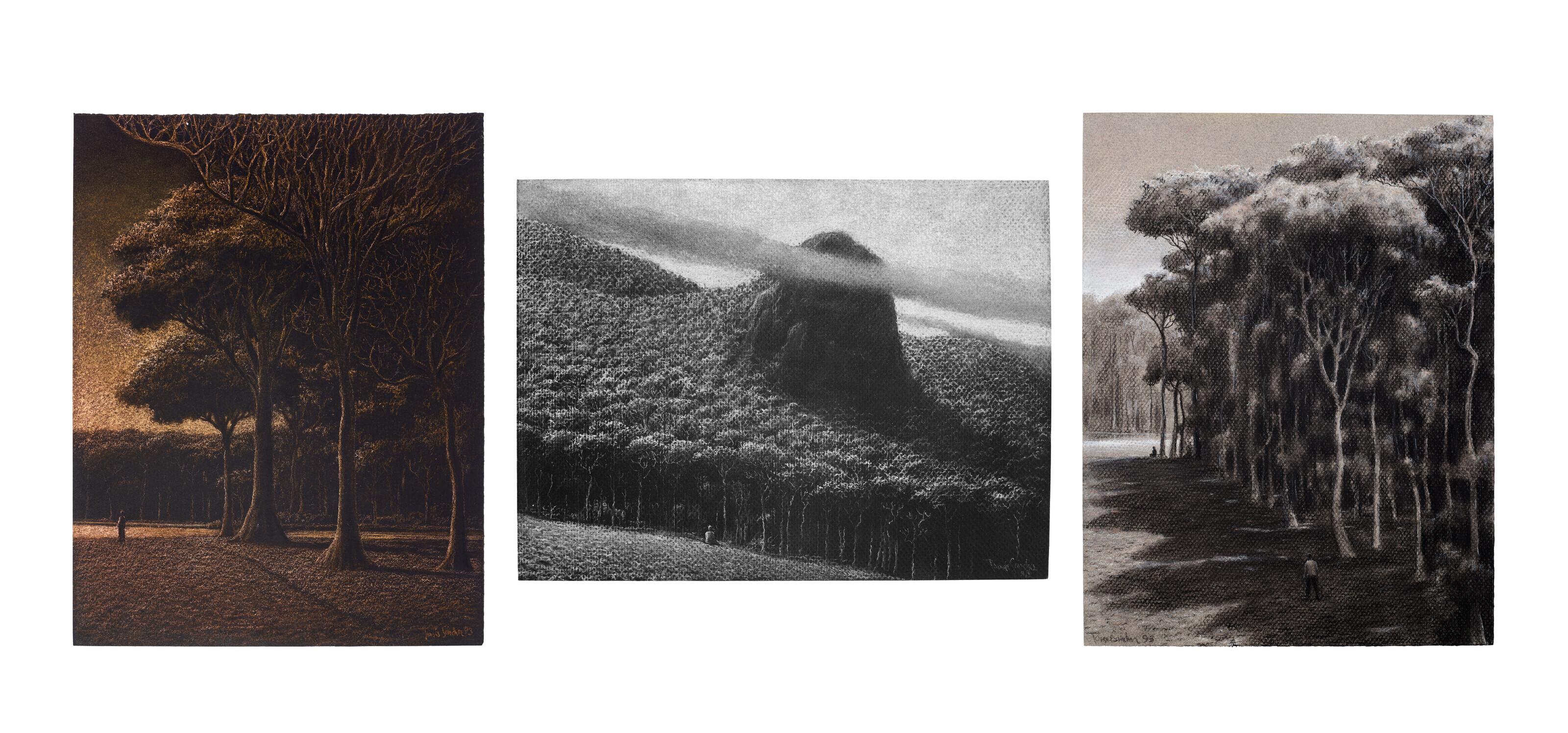 Tomás Sánchez - (1) La espera(2) La roca (3) Buscar al meditador