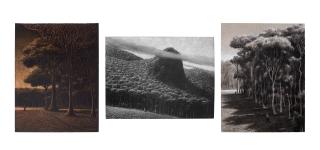 Tomás Sánchez - (1) La espera(2) La roca (3) Buscar al meditador