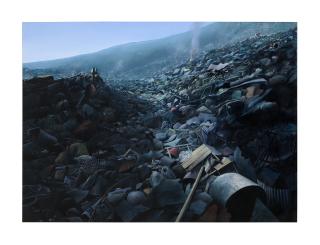 Tomás Sánchez - Basurero