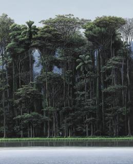 Tomás Sánchez - Buscador De Un Lugar A La Orilla