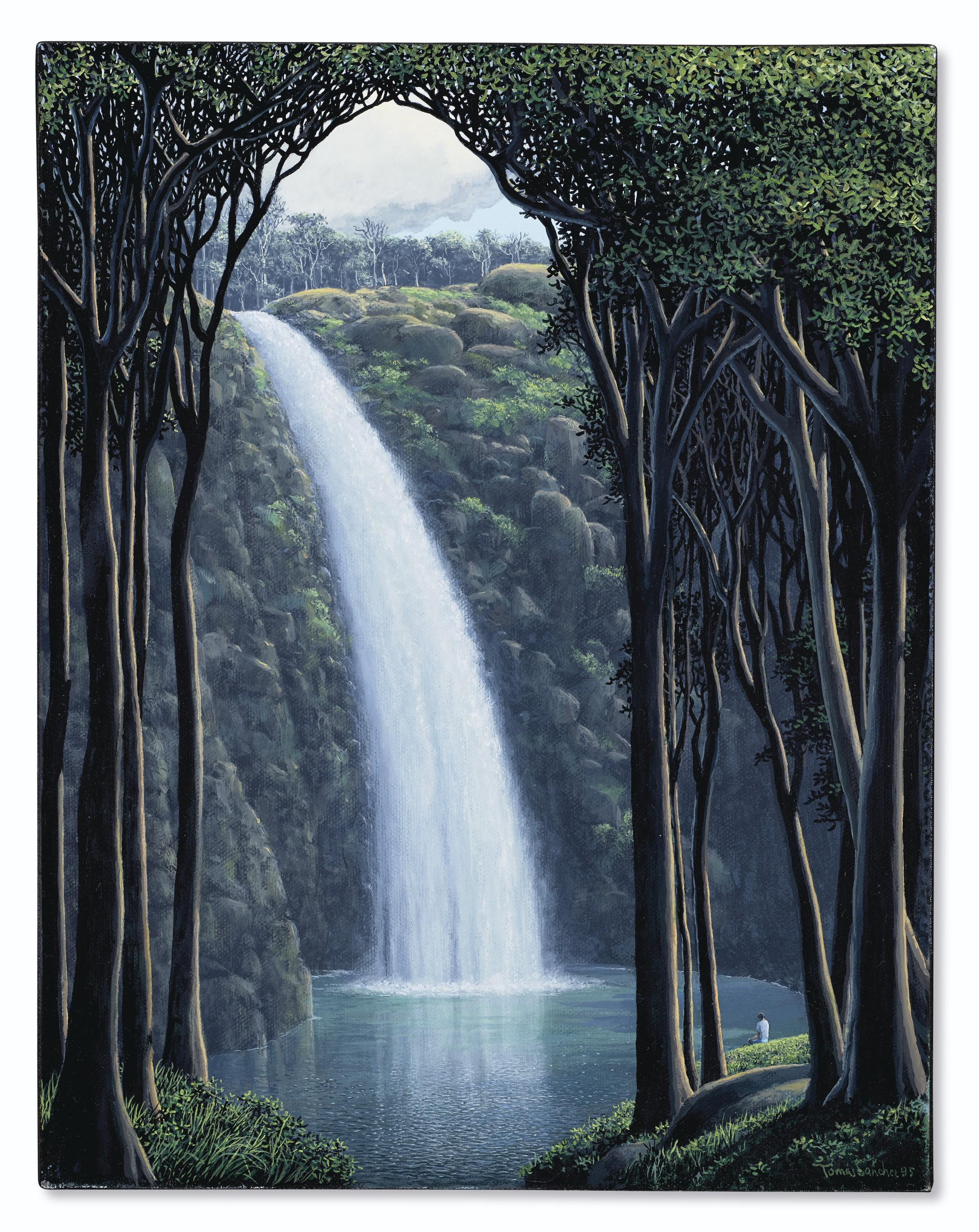 Tomás Sánchez - Cascada y contemplador