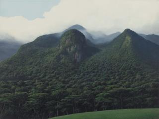 Tomás Sánchez - Contemplador de Montañas