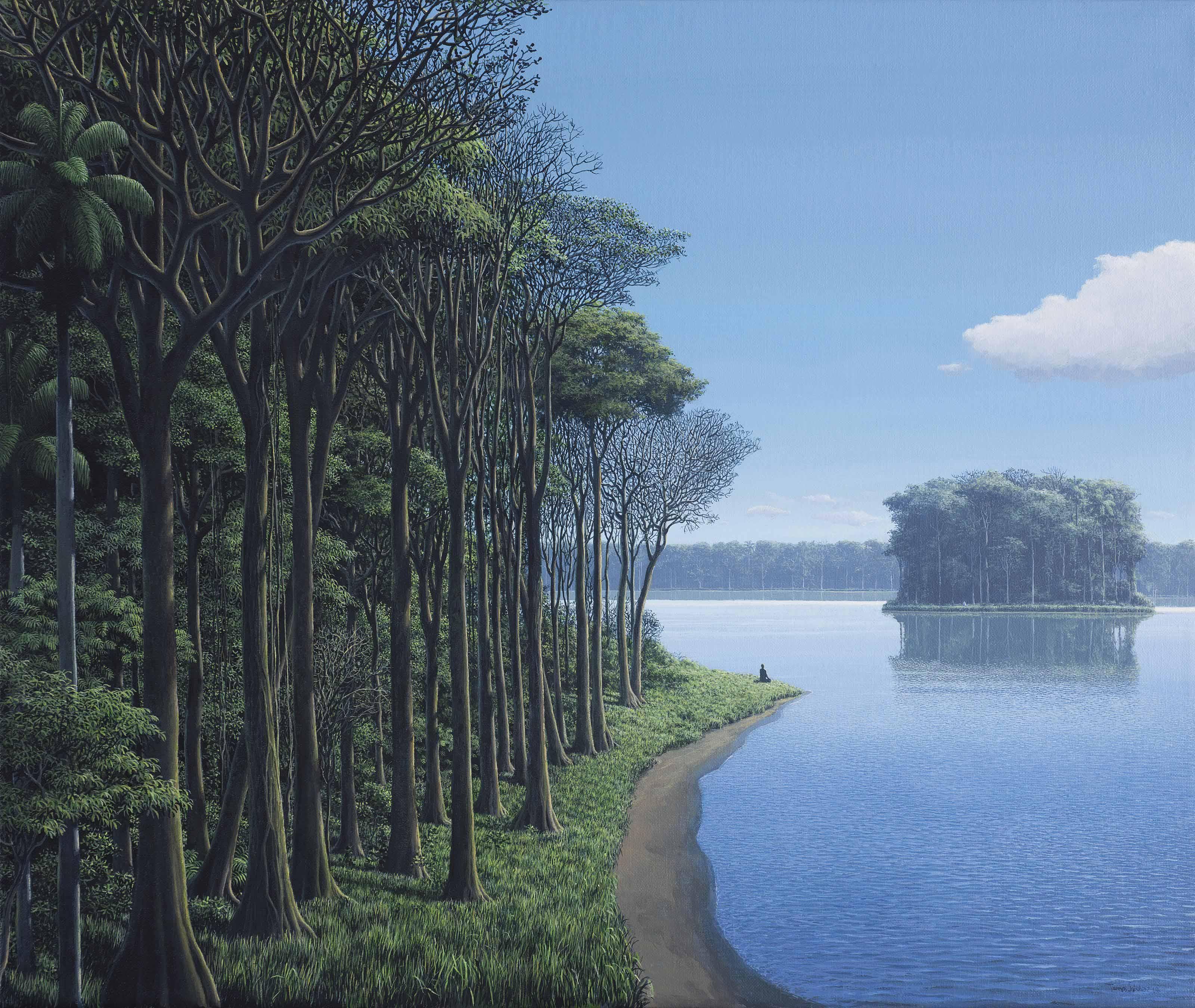 Tomás Sánchez - Contemplar Al Meditador De La Isla