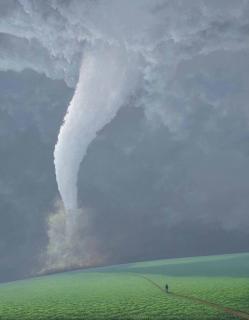 Tomás Sánchez - El reto