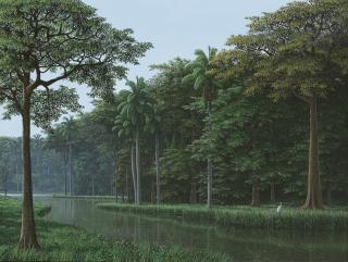 Tomás Sánchez - La garza y el meditador