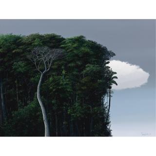 Tomás Sánchez - La Selva Y La Nube