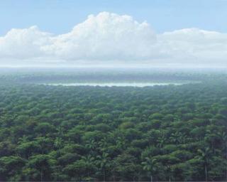 Tomas Sanchez - Laguna Distante Bajo Las Nubes