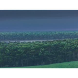 Tomás Sánchez - Meditación Antes Del Amanecer