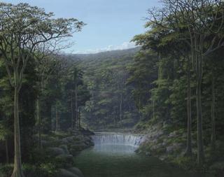 Tomas Sanchez - Meditación y Sonido de Aguas