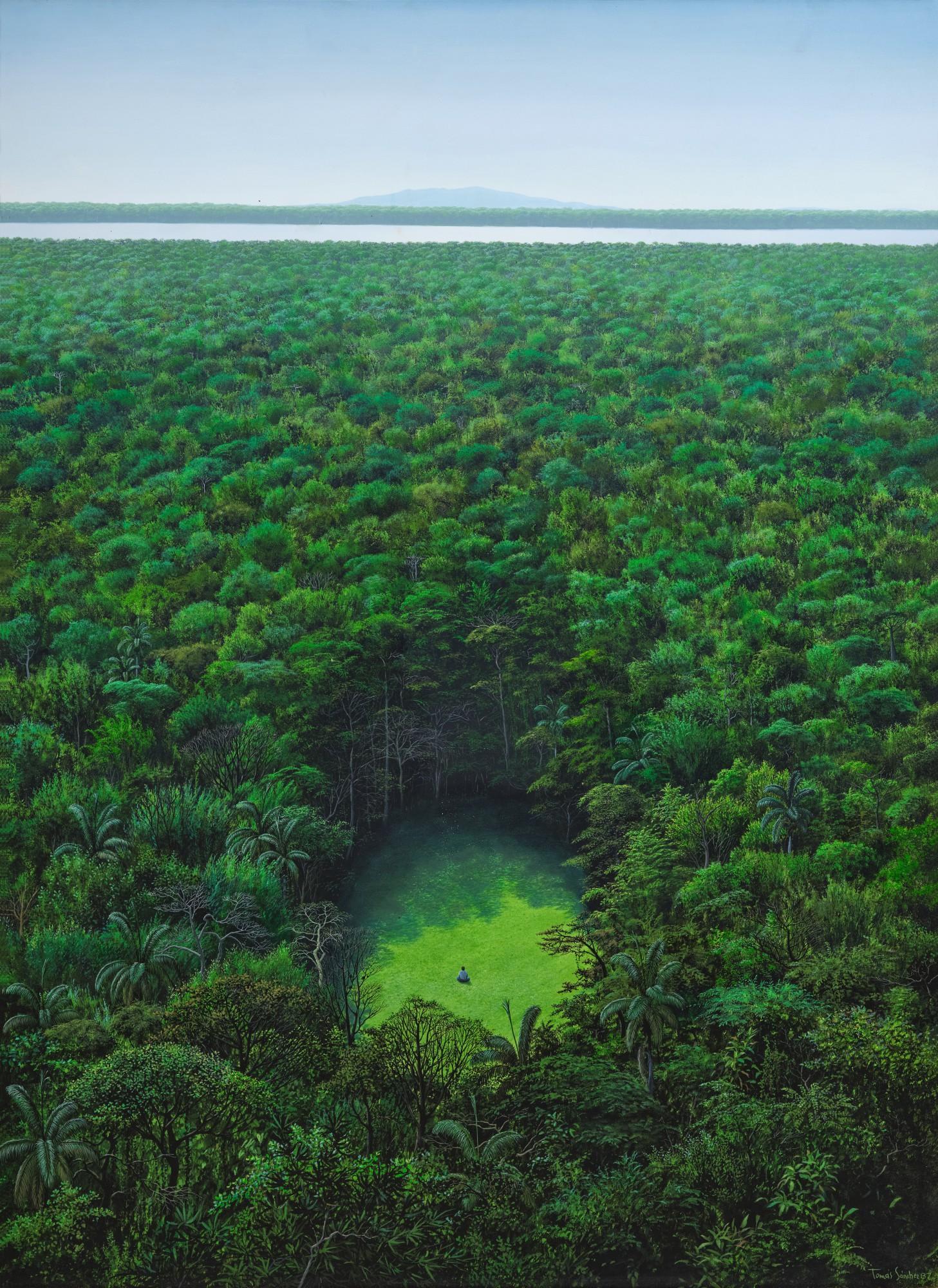 Tomás Sánchez - Meditación