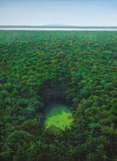 Tomás Sánchez - Meditación