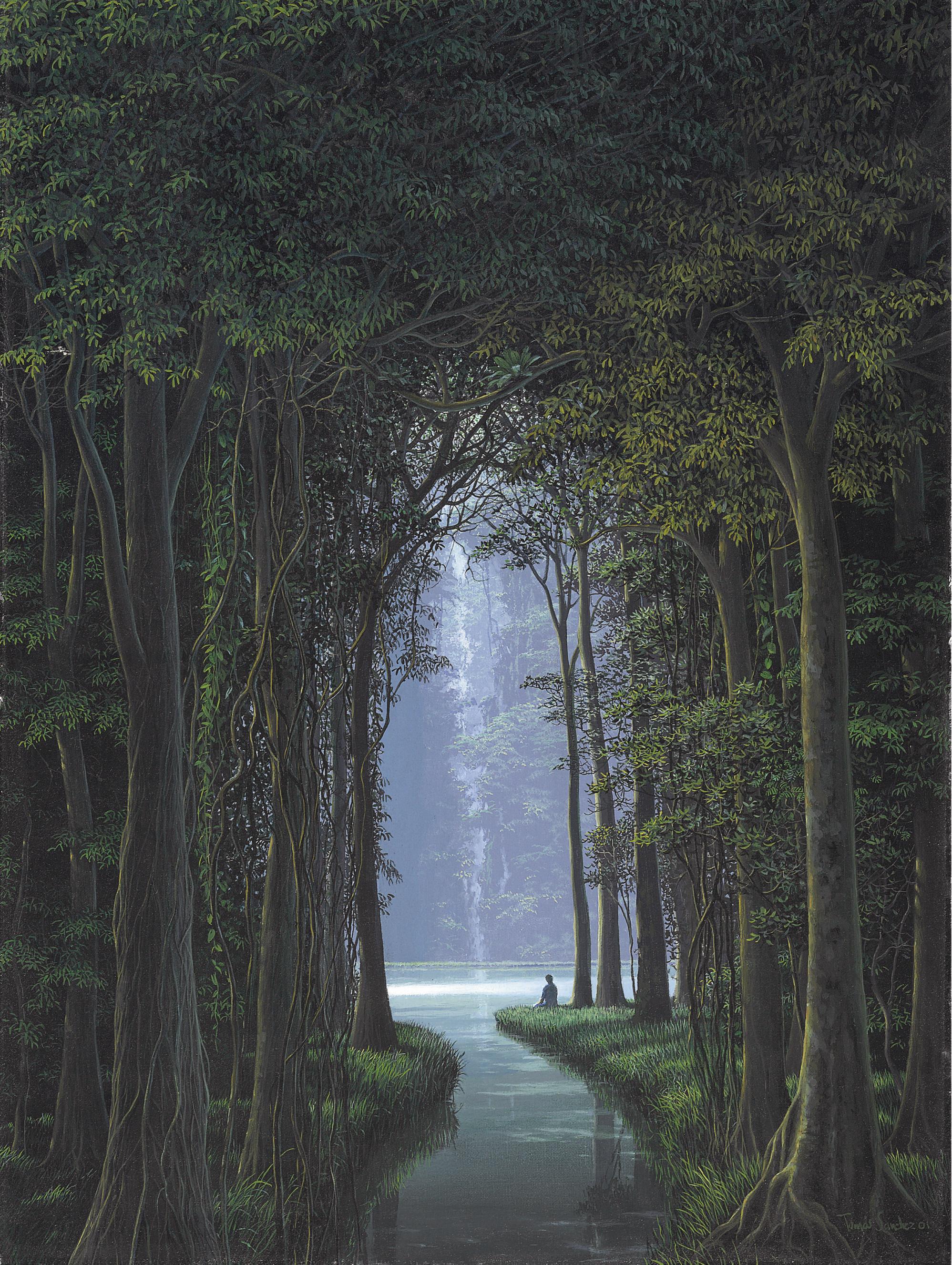 Tomás Sánchez - Meditador con expectativas