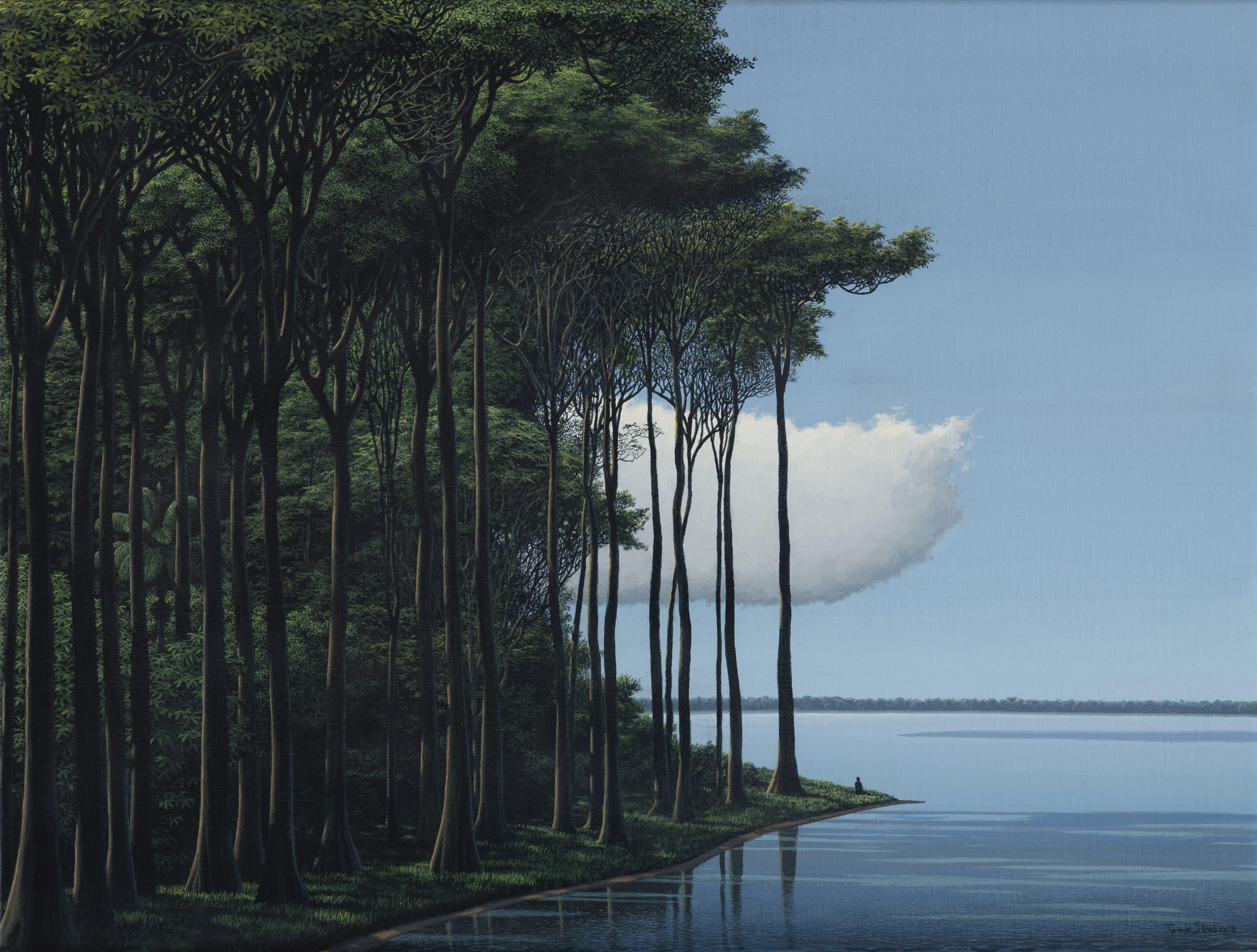 Tomás Sánchez - Meditador, Laguna, Nube