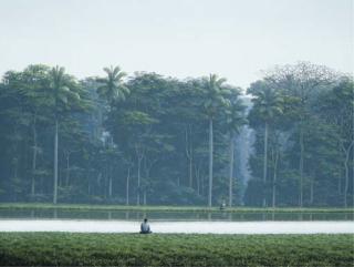 Tomas Sanchez - Meditador y un canal