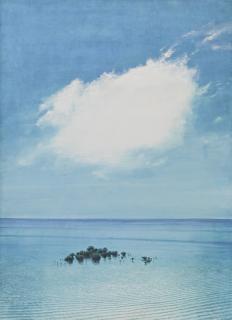 Tomás Sánchez - Nacimiento De Una Isla