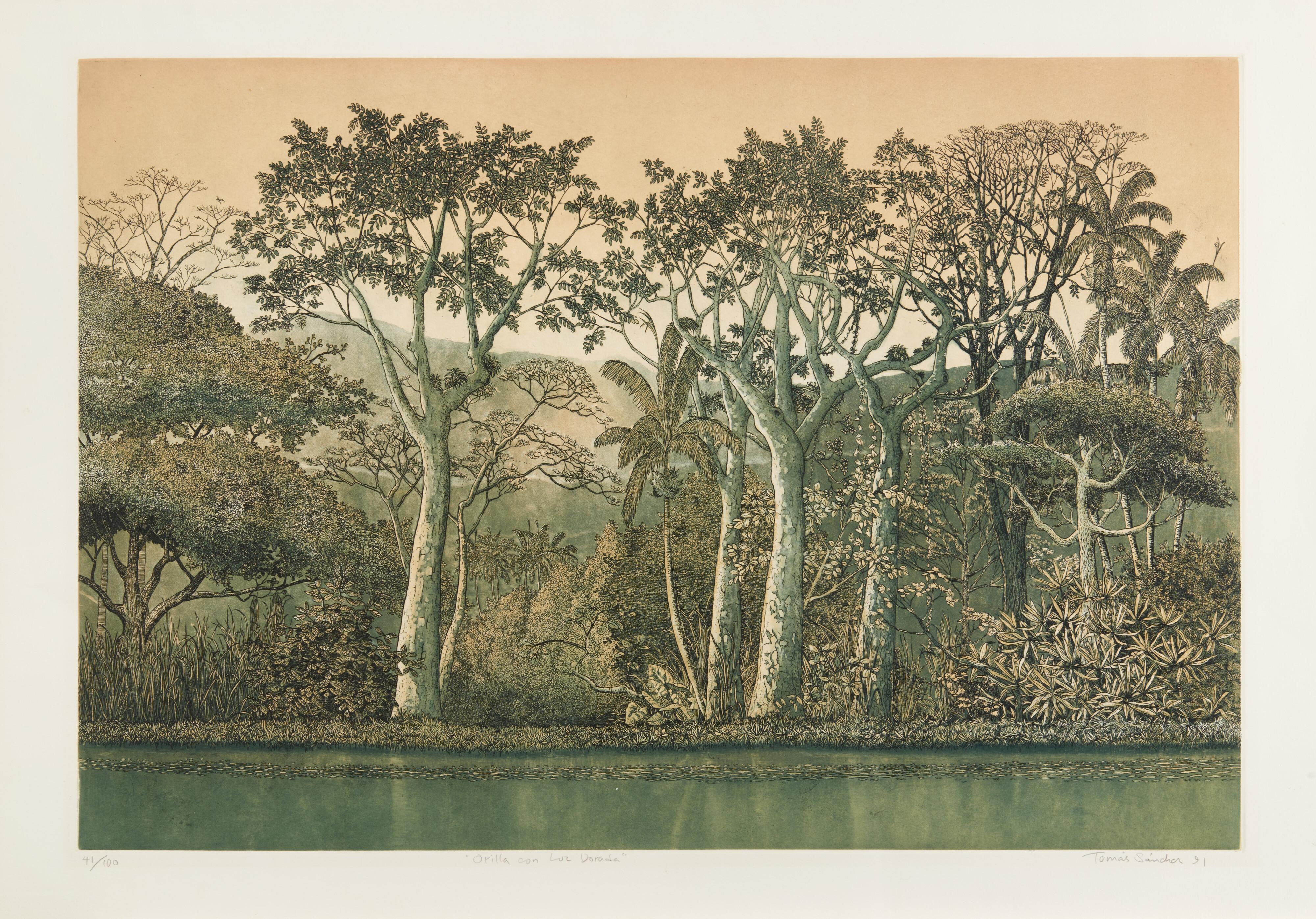 Tomas Sanchez - Orilla con luz dorada