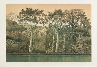 Tomas Sanchez - Orilla con luz dorada