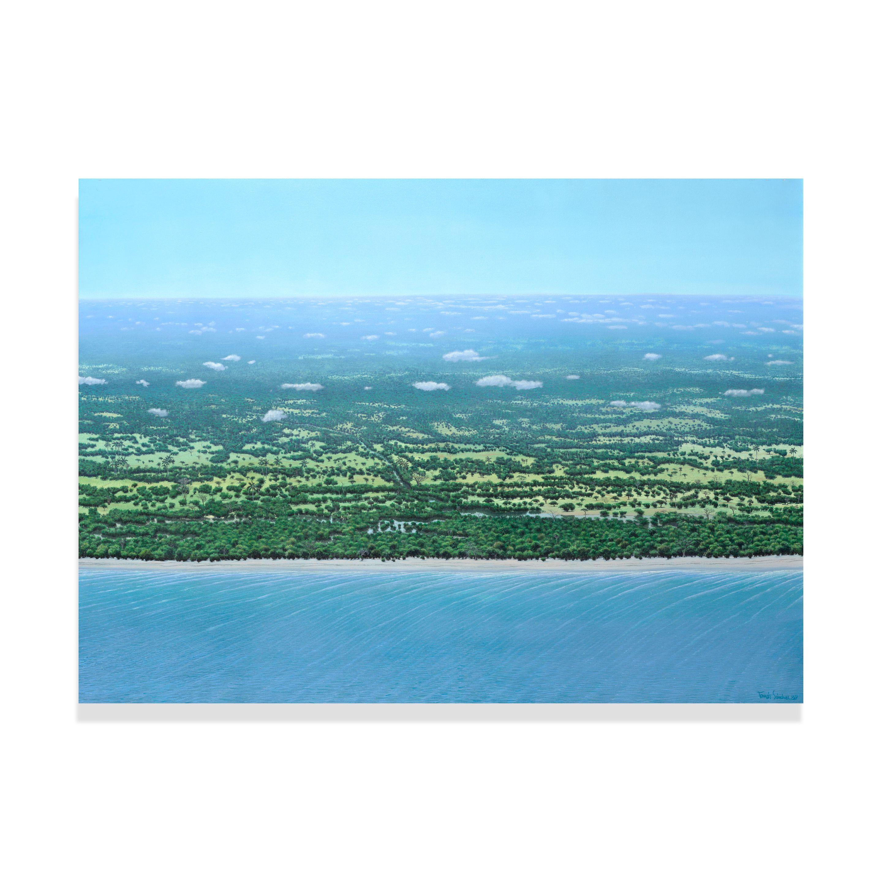 Tomás Sánchez - Orilla con nubes