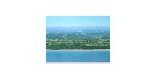 Tomás Sánchez - Orilla con nubes