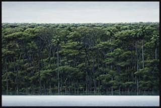 Tomás Sánchez - Orilla Y Cielo Gris