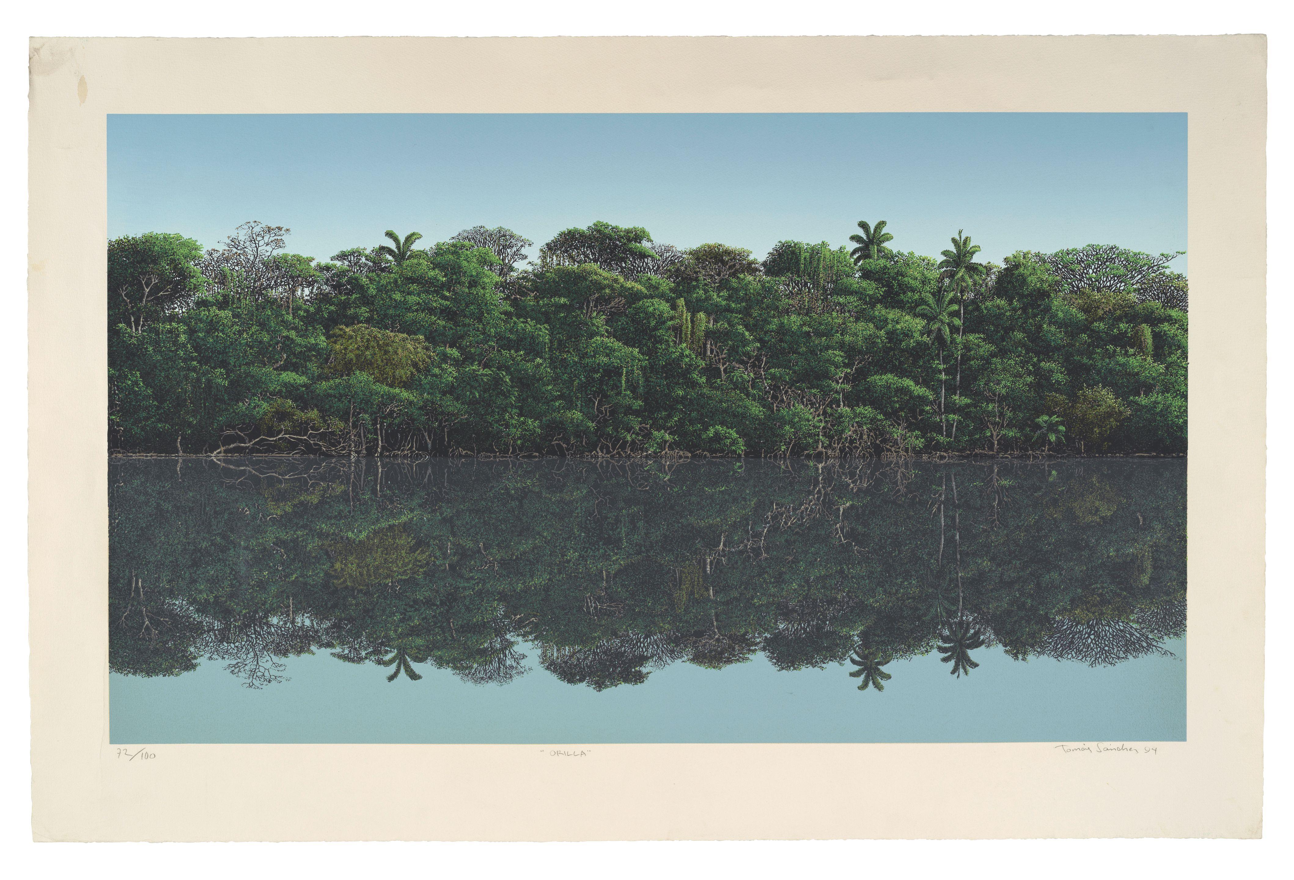 Tomás Sánchez - Orilla