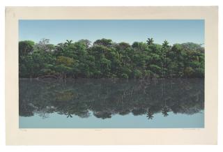 Tomás Sánchez - Orilla