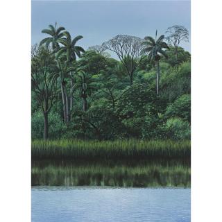 Tomás Sánchez - Orilla