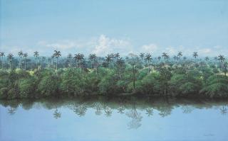 Tomás Sánchez - Orilla