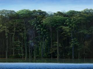 Tomás Sánchez - Orilla