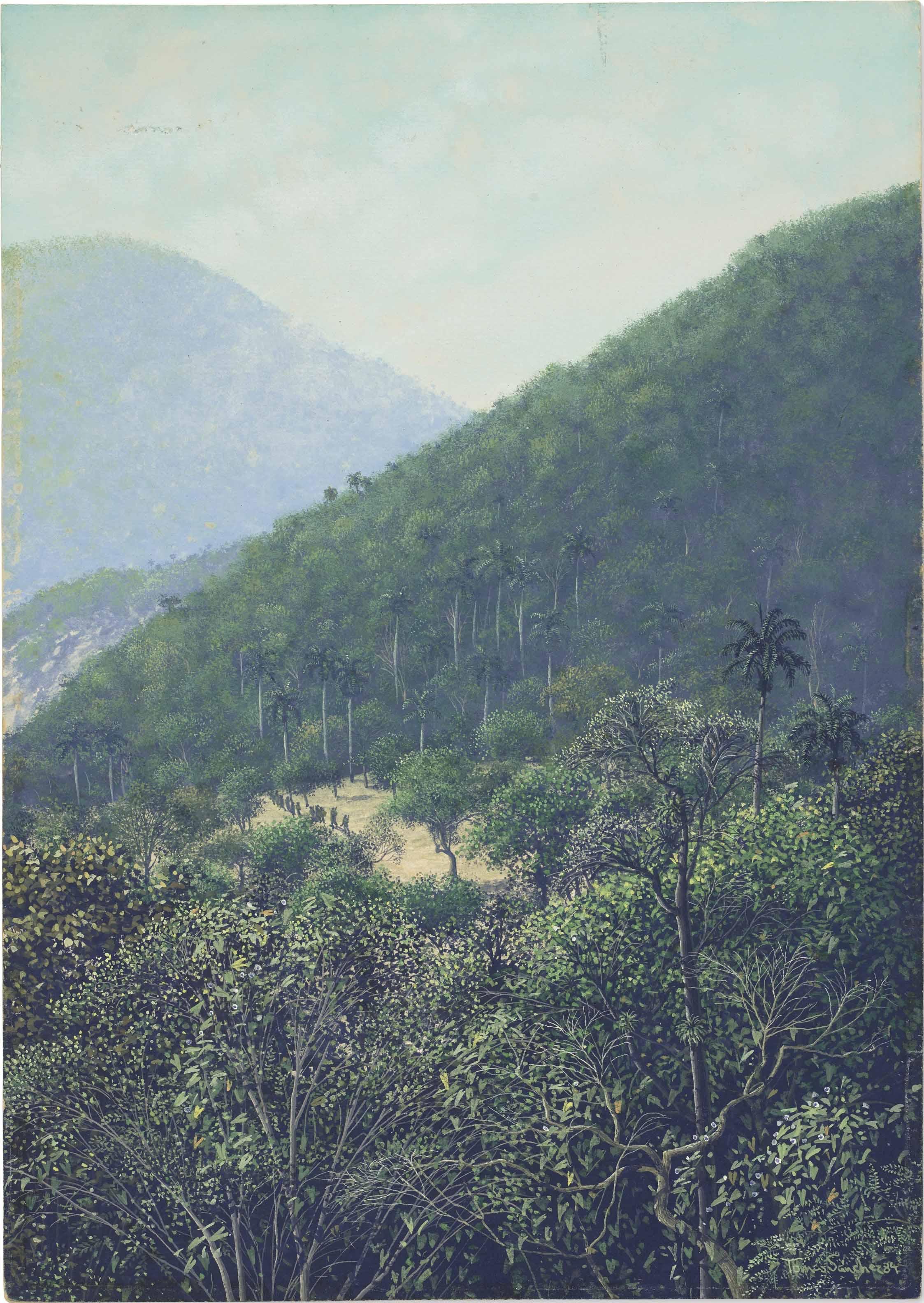 Tomás Sánchez - Untitled