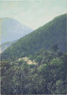 Tomás Sánchez - Untitled