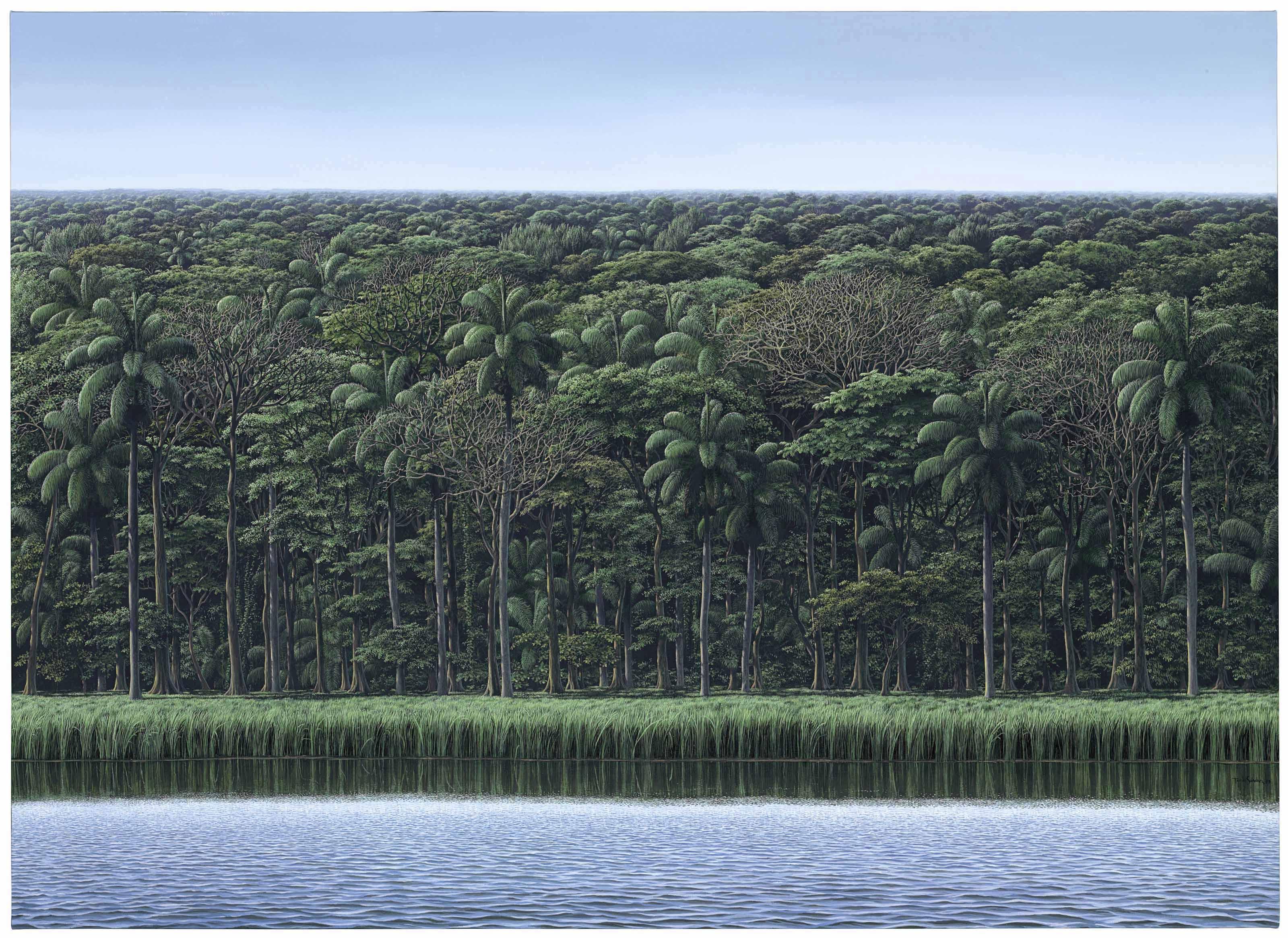 Tomás Sánchez - Visión de orilla