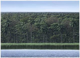 Tomás Sánchez - Visión de orilla