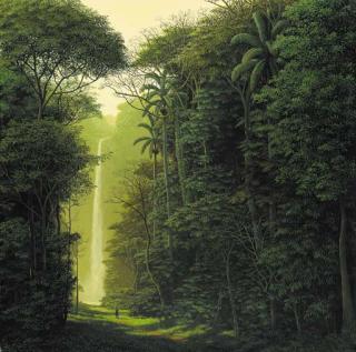 Tomás Sánchez - Visitador de cascadas