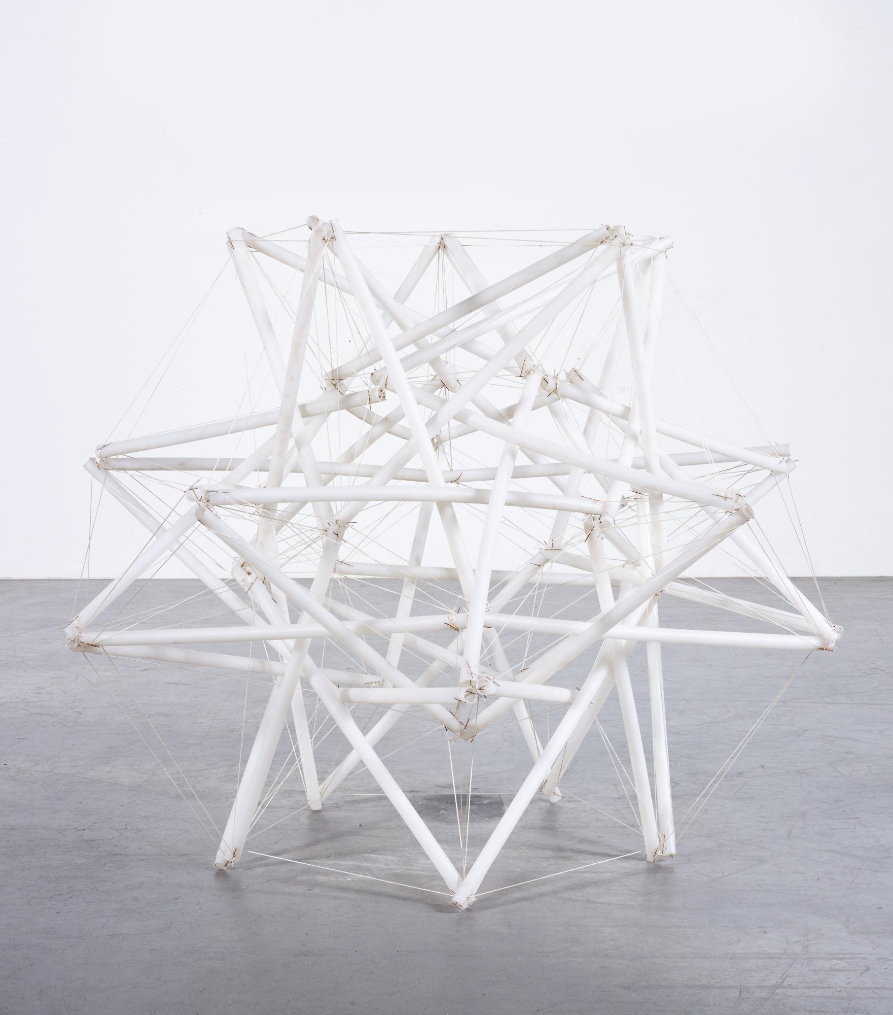 Tomás Saraceno - Model (Ts_M01)