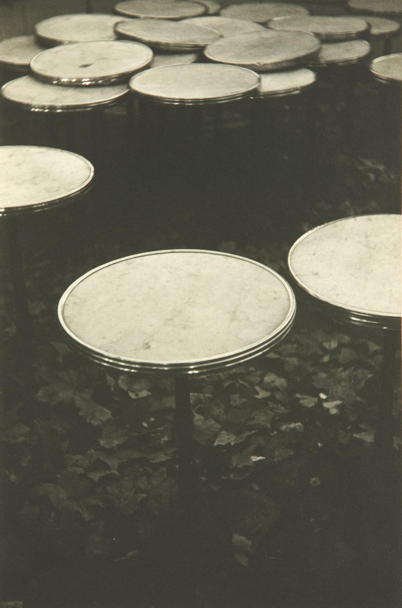 Tomio Seike - Café des Deux Magots, Waterlillies, 1993