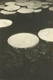 Tomio Seike - Café des Deux Magots, Waterlillies, 1993