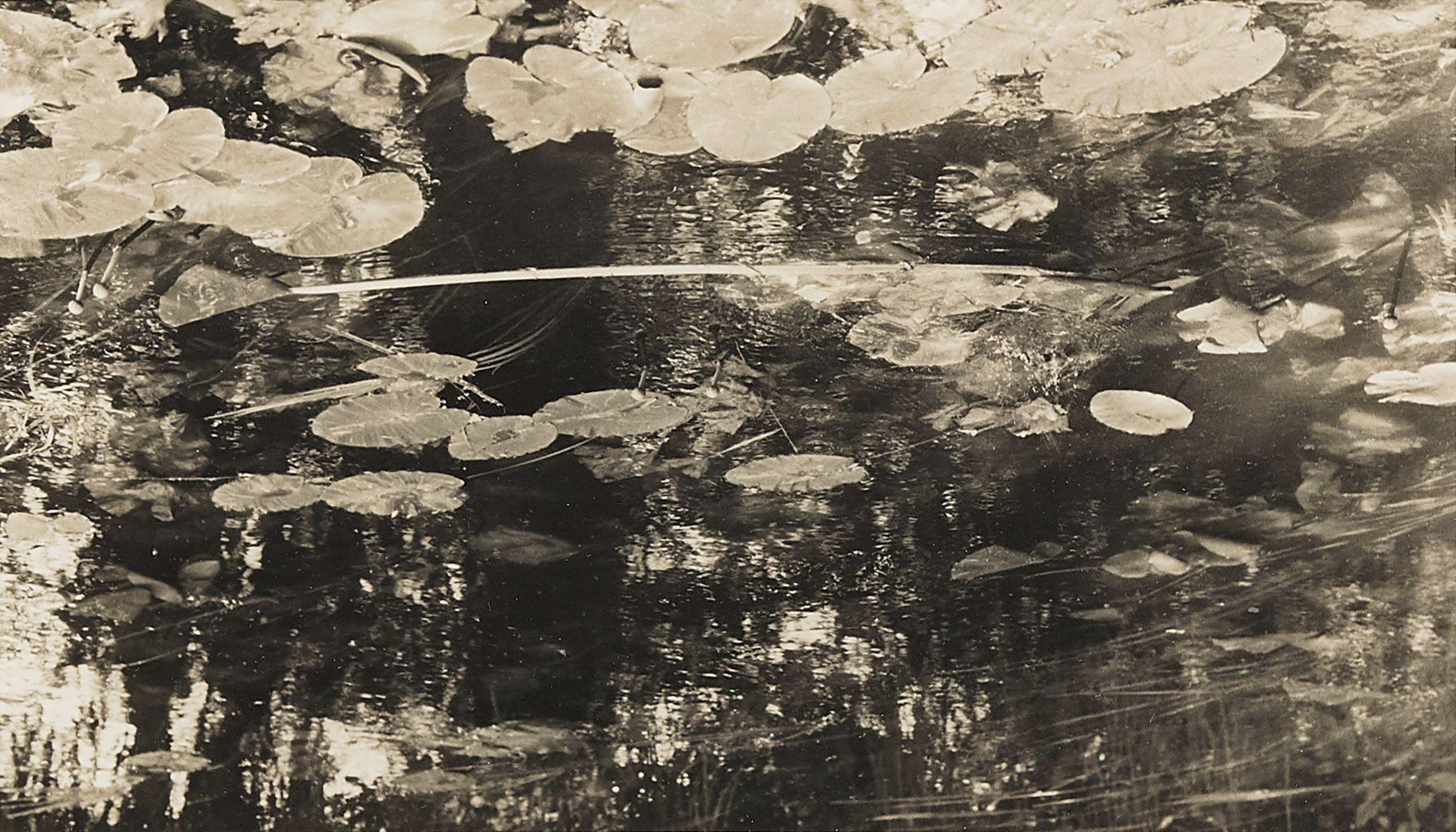 Tomio Seike - Waterscape #13