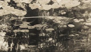Tomio Seike - Waterscape #13