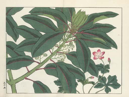 Tomioka Tessai - Shiki no hana [Flowers of the Four Seasons], Meiji 40 [1907]