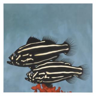 Tommy Dale Palmore - The Fish